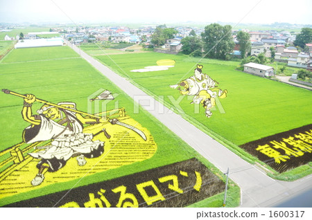 Rice field art Rice field art 1600317