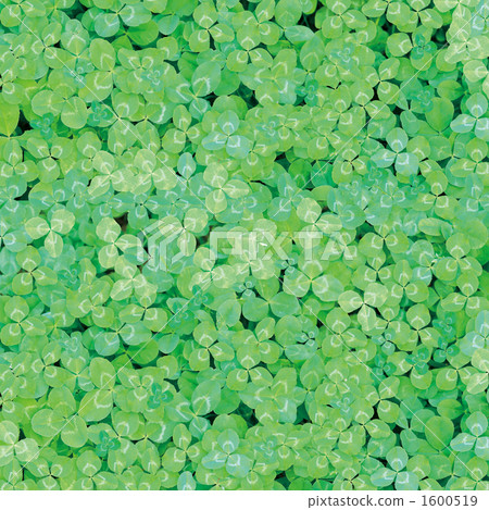 bush, clump of bushes, the bush 1600519