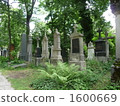 Alter Sudrycher Cemetery 1600669