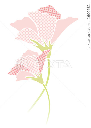 圓點花 1600681
