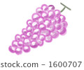 Grape 1600707