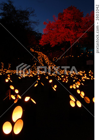 Bamboo music 1601042