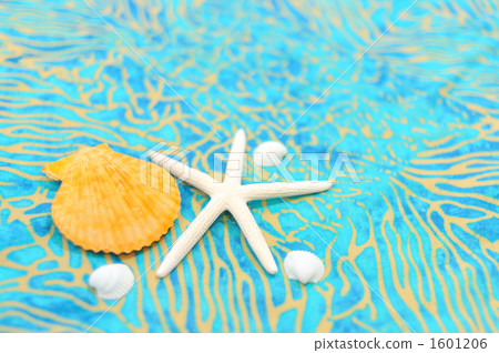 Sea-patterned cloth and shells, tropical image. 1601206