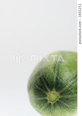 花蜜 花蜜 1601251