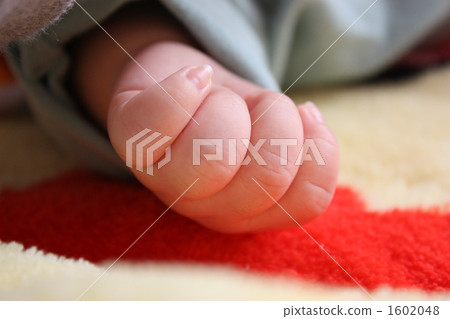 hand, clasp, grasp 1602048