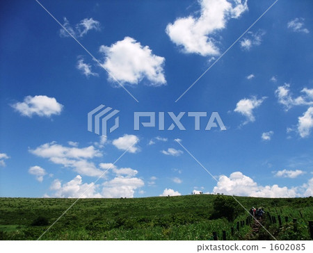 藍天的Cosplayer 藍天的Cosplayer 1602085