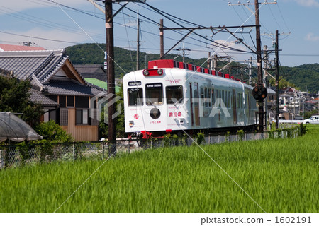 Wakayama Electric Railway strawberry train 1602191
