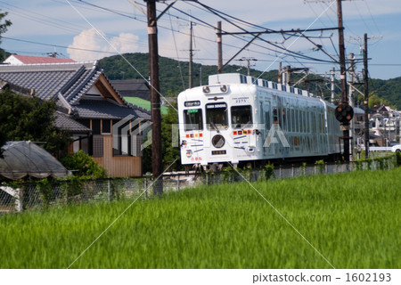 Wakayama Electric Railway Tama Line Wakayama Electric Railway Tama Line 1602193
