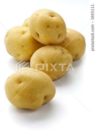 New potatoes 1603111