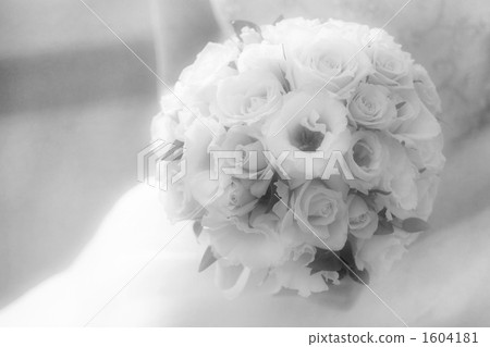 bridal flower, decorative flowers, monochrome 1604181