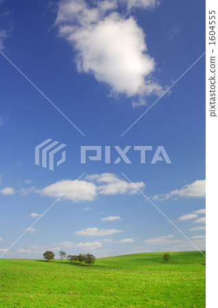 rural scene, rural landscape, grassland 1604555