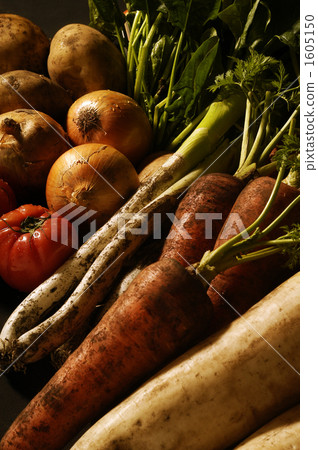 Vegetable collection Vegetable collection 1605150