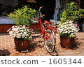 brick road, bicycle, bicyclists 1605344