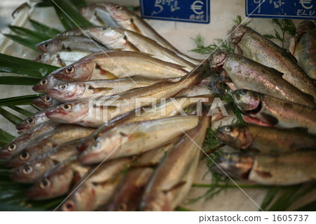Fishmonger of Marche 1605737
