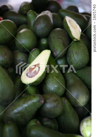 Avocado (Scientific name: Persea americana) Evergreen Takagi of the genus Wynnania of the Camphor tree. Also, about that fruit. Another name, Tannashi Avocado (Scientific name: Persea americana) Evergreen Takagi of the genus Wynnania of the Camphor tree. Also, about that fruit. Another name, Tannashi 1605740