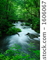 Oirase Stream 4 1606067
