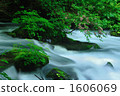 Oirase Stream 5 1606069