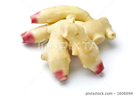 New ginger New ginger 1606094