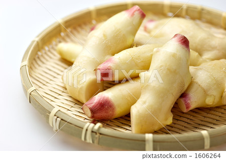 New ginger 1606264