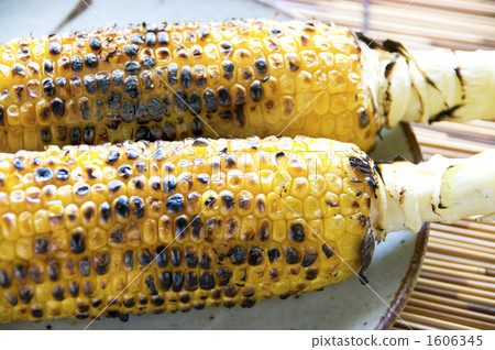 Grilled corn 1606345