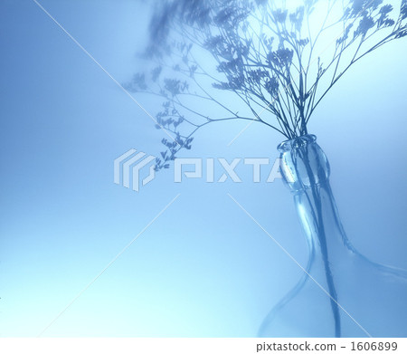 乾花 瓶子 花瓶 1606899