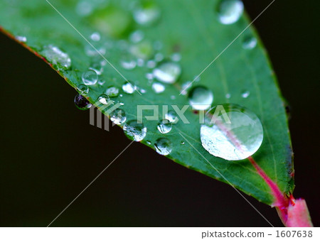 水滴 水滴 1607638
