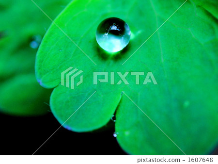 水滴 水滴 1607648