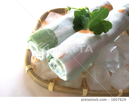 濕手毛巾 盾葉天竺葵 兩（個物品 1607829