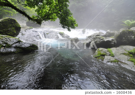 kikuchi valley, mountain stream 1608436