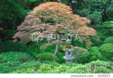 步行前往坂田·本馬藝術博物館Tsuruguen 1608855