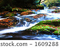 kikuchi valley, late autumn, sight-seeing area 1609288