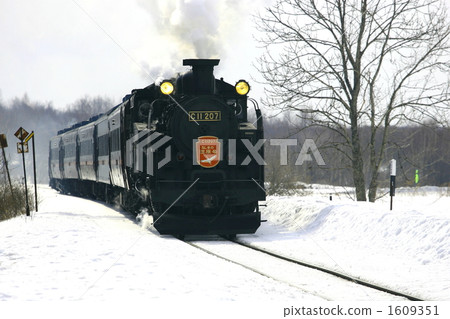 SL in the snow SL in the snow 1609351