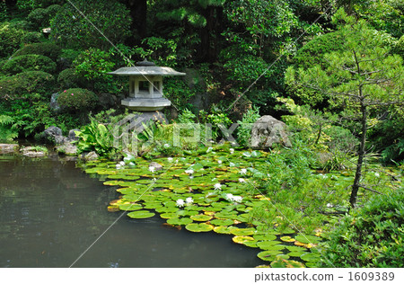 Walk for Sakata · Honma Art Museum Tsuruguen Walk for Sakata · Honma Art Museum Tsuruguen 1609389