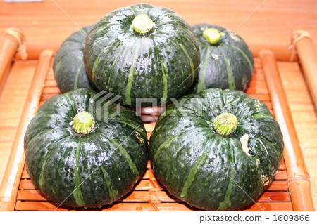 pumpkin, winter solstice pumpkin, freshly harvested 1609866