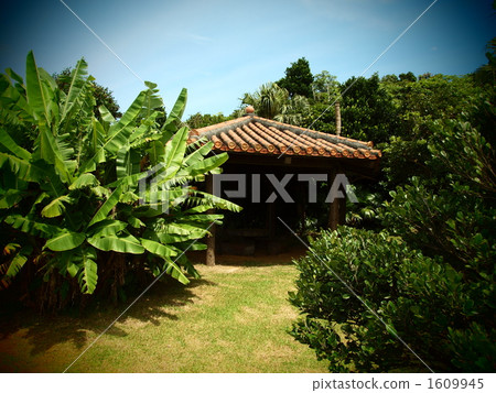 紅瓦的綾 紅瓦的綾 1609945