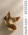 枯葉 落葉 單張 1610102