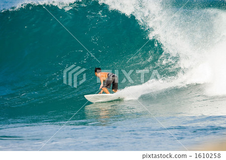 Surfing Surfing 1610258