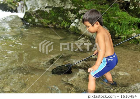 Summer vacation Summer vacation 1610484