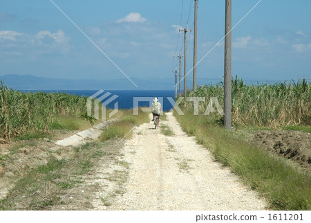 The way to the ocean 1611201