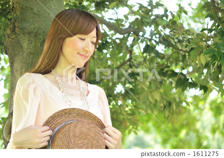 Forest bathing 1611275