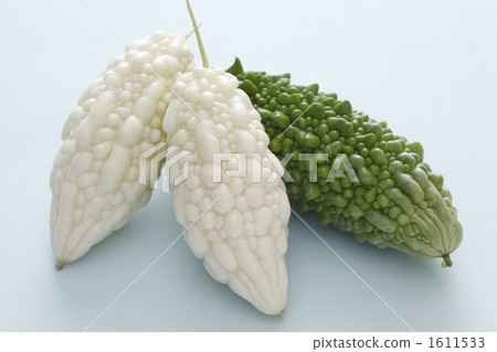 白色goya（水平位置） 1611533