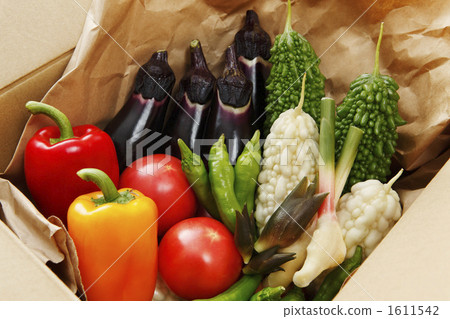 Summer vegetable delivery image Summer vegetable delivery image 1611542
