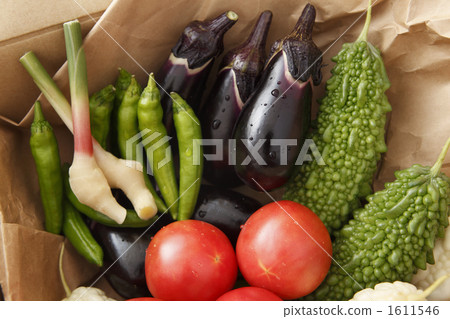 夏季蔬菜交付圖像 1611546