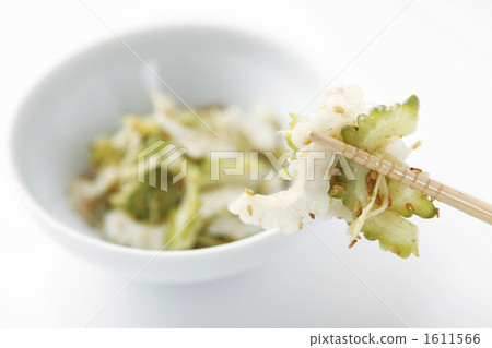 白色和綠色芝麻油芝麻油沙拉 白色和綠色芝麻油芝麻油沙拉 1611566