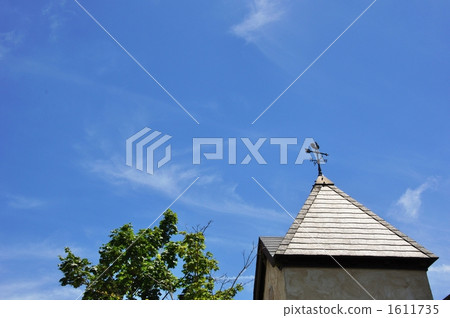 風上升的雞和樹與三角屋頂和藍天 1611735