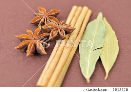 To the spice spice image for Indian curry. 1612826