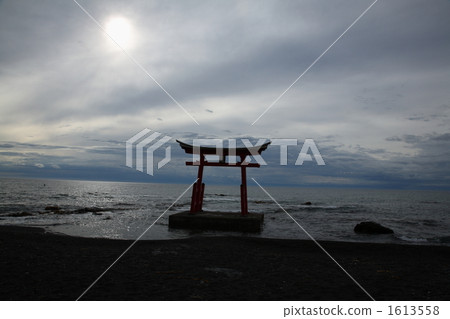 Torii torii 1613558