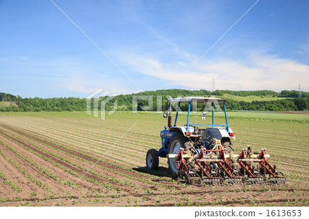 Summer farm 1613653