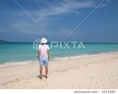 夏日的回憶 1613980