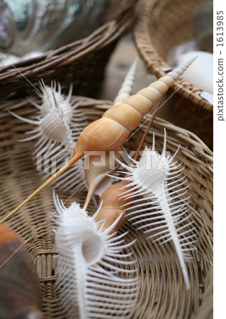 跳蚤市場的貝殼 1613985